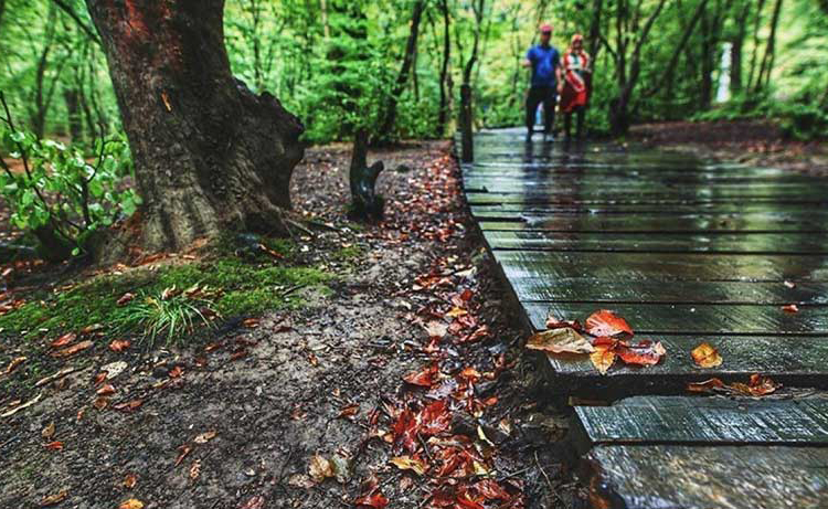 معیار انتخاب بهترین پارک های گرگان