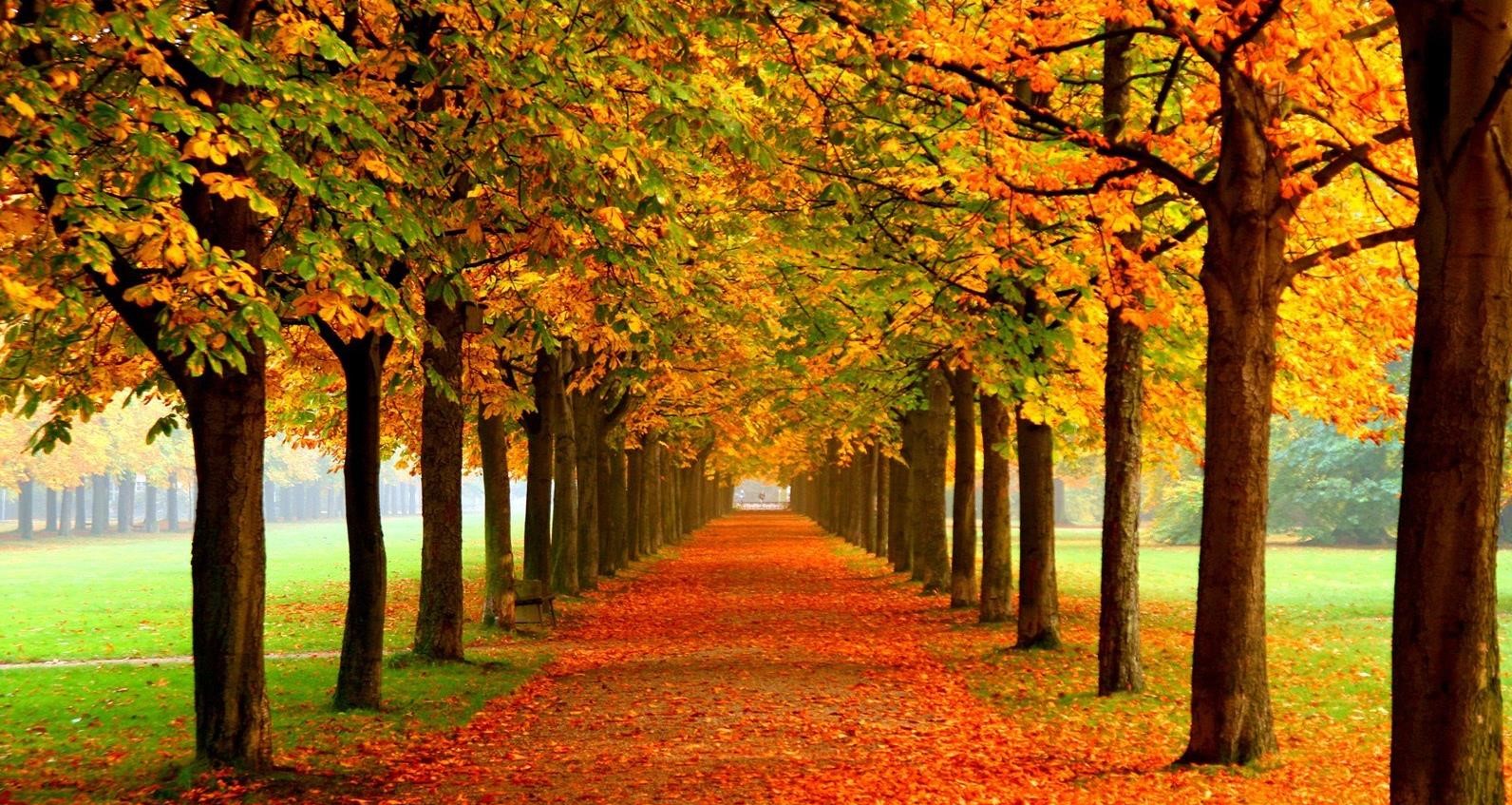 معیار انتخاب بهترین پارک های گرگان