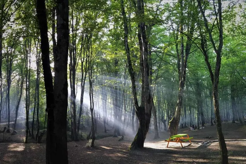 معیار انتخاب بهترین پارک های گرگان