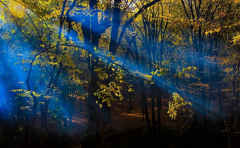 معیار انتخاب بهترین جاذبه های تفریحی در گرگان