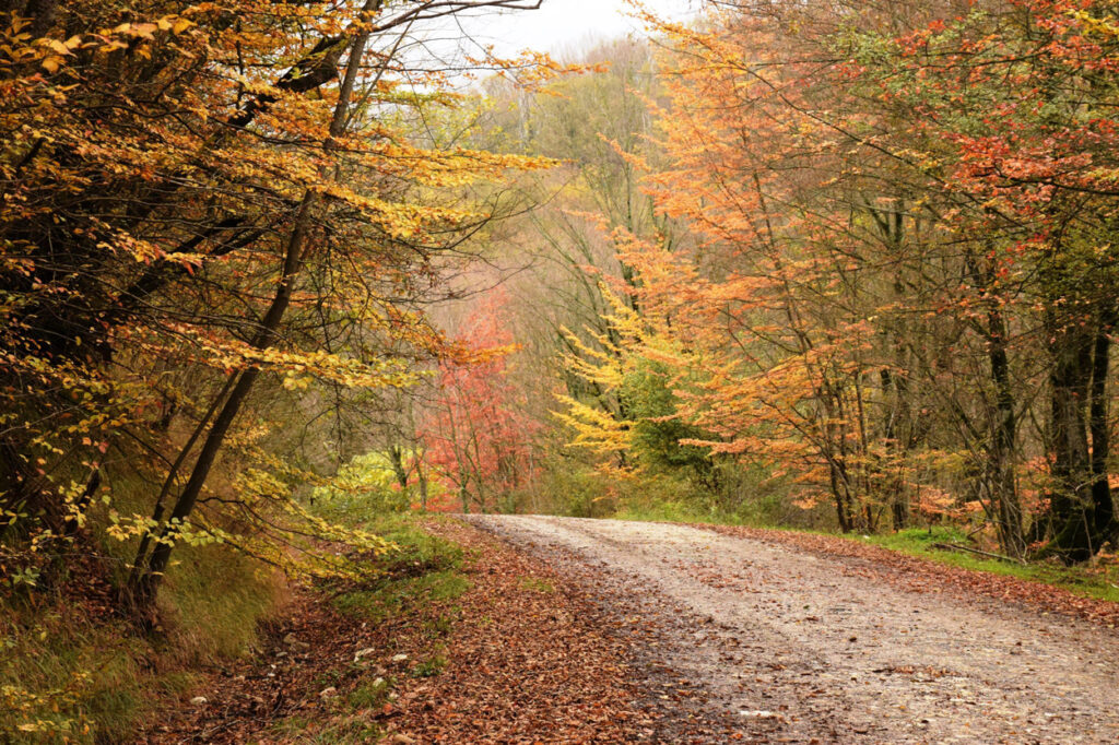 عکسی از بهترین جاذبه های طبیعی در گرگان