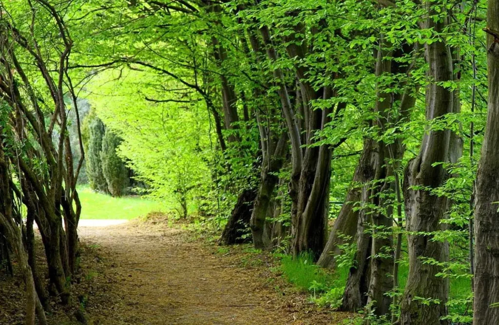 معیار انتخاب بهترین زمان سفر به گرگان