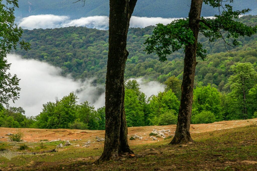 معیار انتخاب بهترین زمان سفر به گرگان